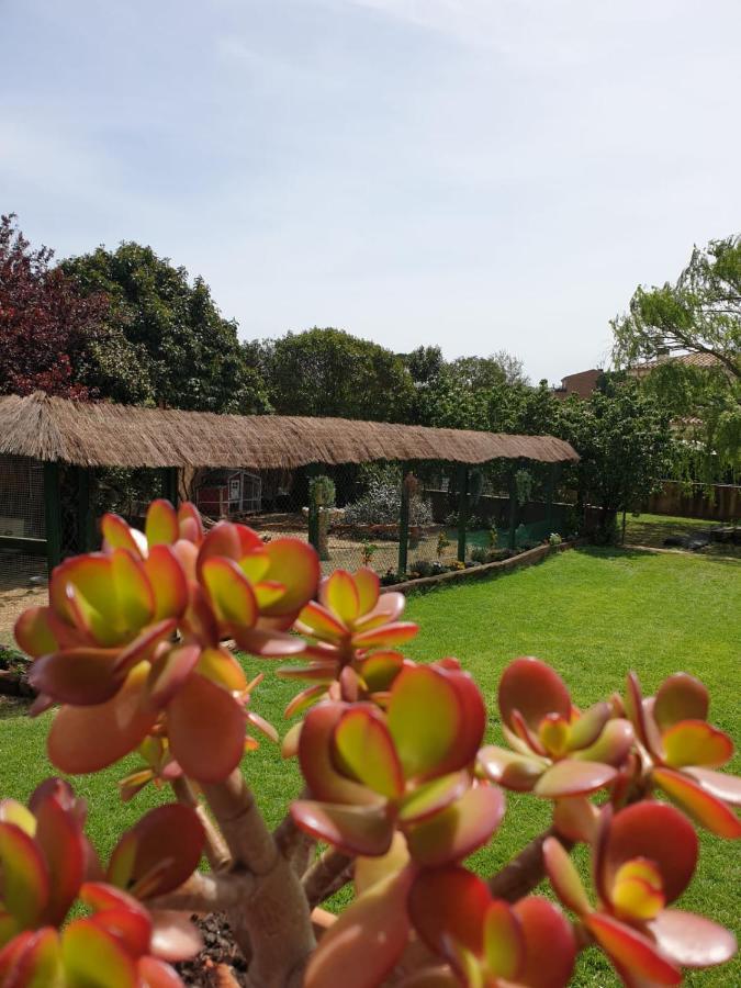 Villa Del Remei Vidreres Exterior photo